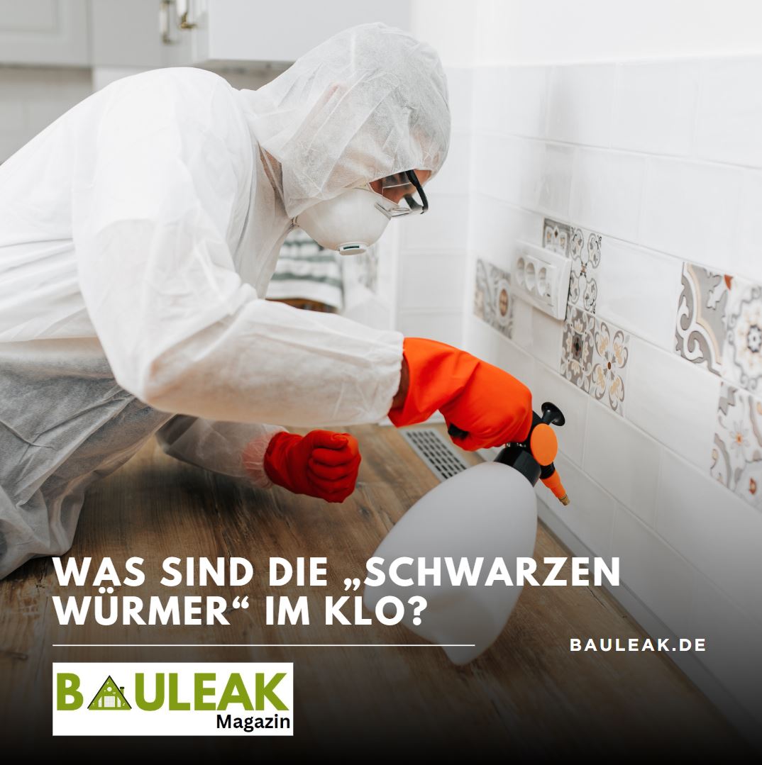 Was sind die „schwarzen Würmer“ im Klo