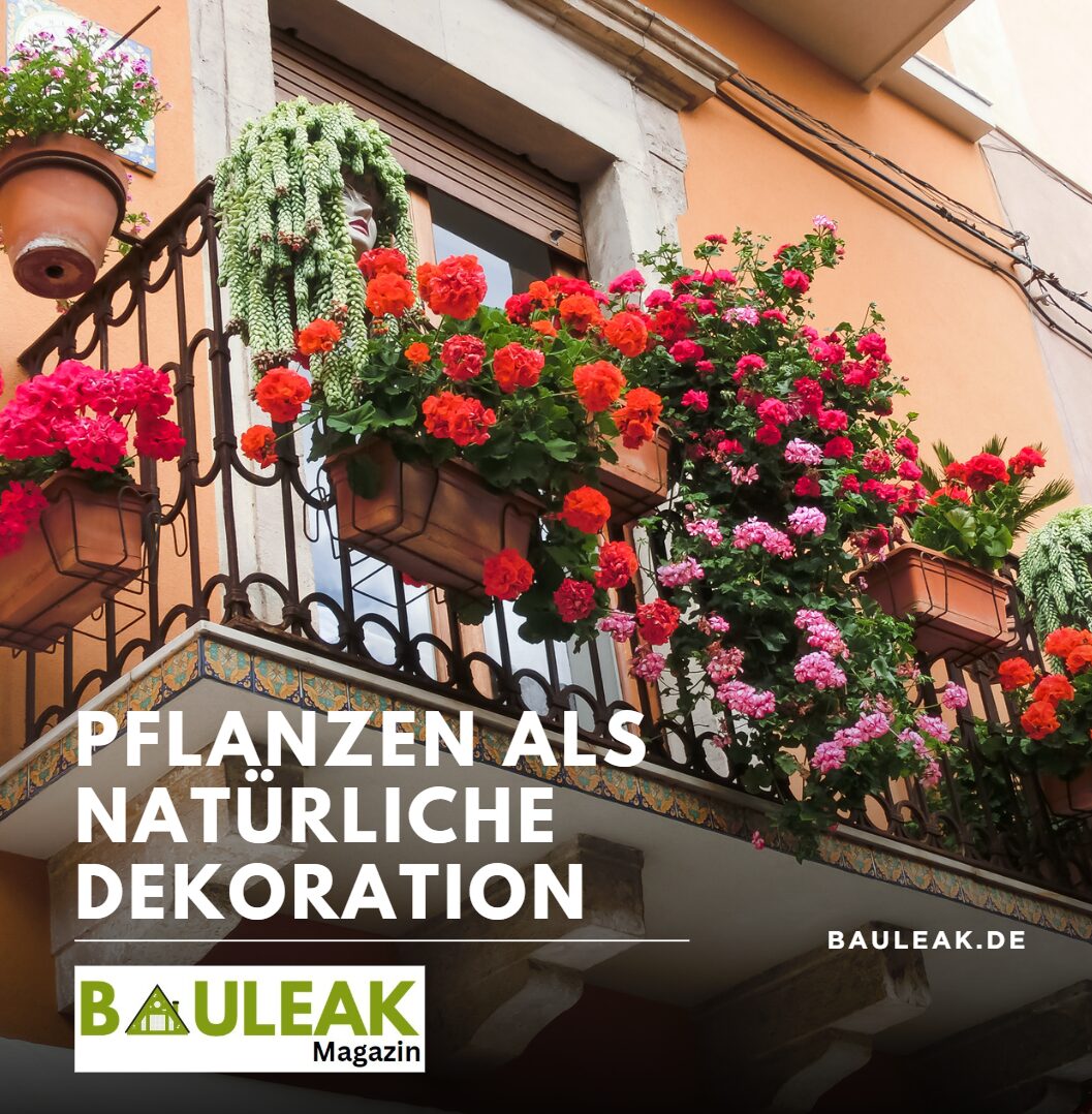 Balkon Deko ohne Bohren Pflanzen als natürliche Dekoration Balkon Deko ohne Bohren Pflanzen als natürliche Dekoration