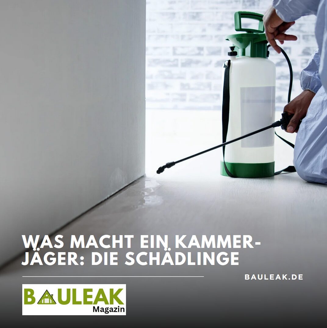 Was macht ein Kammerjäger - die Schädlinge Was macht ein Kammerjäger - die Schädlinge