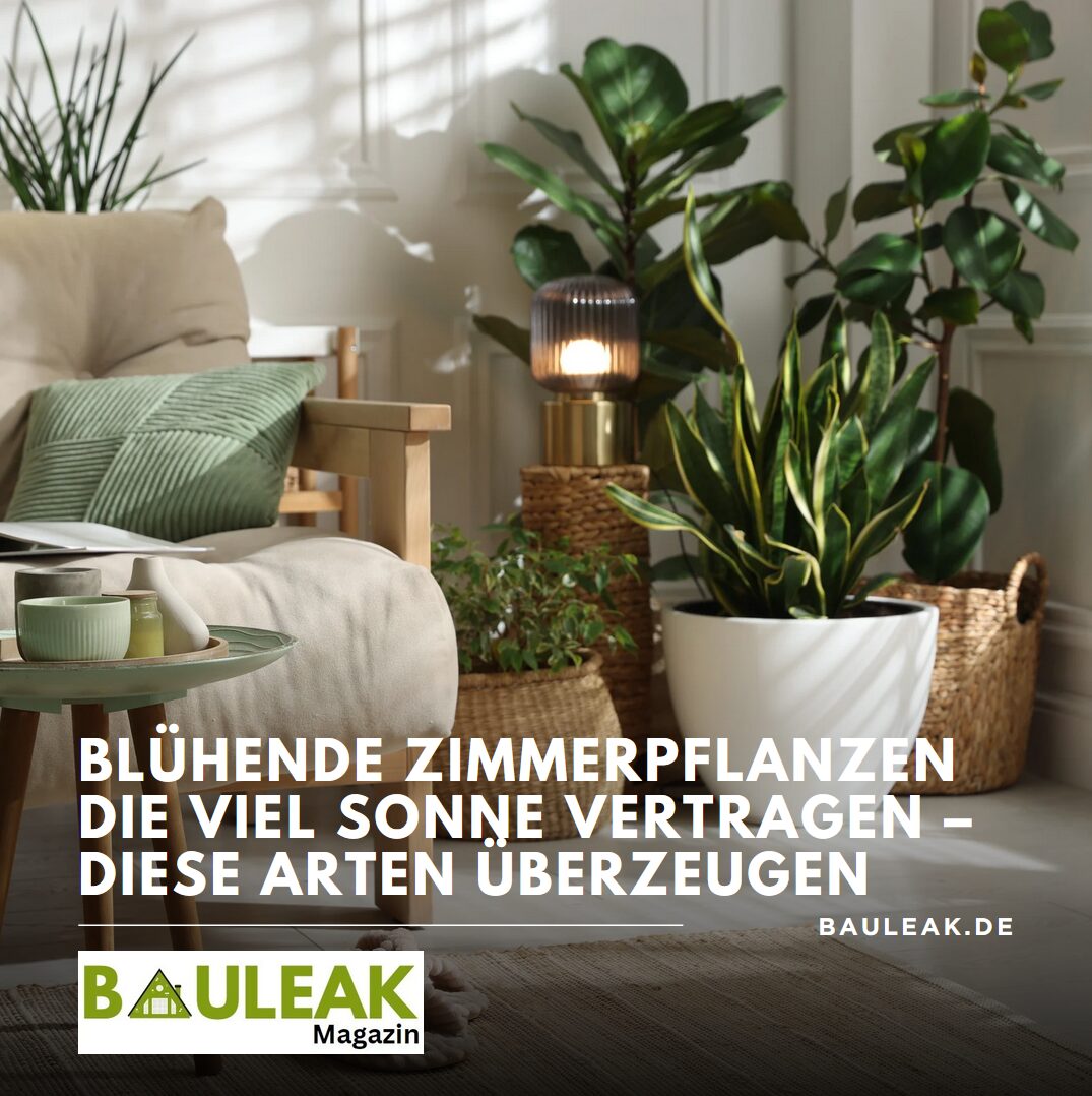 Blühende Zimmerpflanzen die viel Sonne vertragen – diese Arten überzeugen Blühende Zimmerpflanzen die viel Sonne vertragen – diese Arten überzeugen