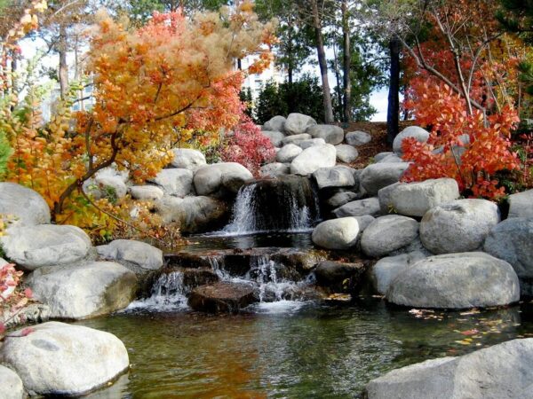 steingarten anlegen ideen mit feldsteinen