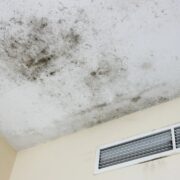Unsichtbarer Schimmel in der Wohnung – Symptome oft unterschätzt und gesundheitlich riskant