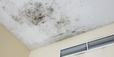 Unsichtbarer Schimmel in der Wohnung – Symptome oft unterschätzt und gesundheitlich riskant