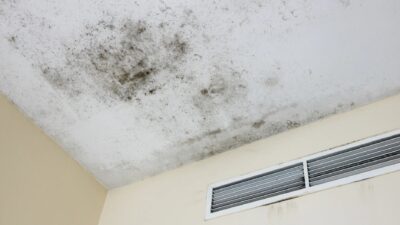 Unsichtbarer Schimmel in der Wohnung – Symptome oft unterschätzt und gesundheitlich riskant