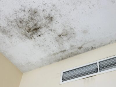 Unsichtbarer Schimmel in der Wohnung – Symptome oft unterschätzt und gesundheitlich riskant