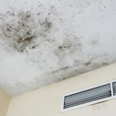 Unsichtbarer Schimmel in der Wohnung – Symptome oft unterschätzt und gesundheitlich riskant