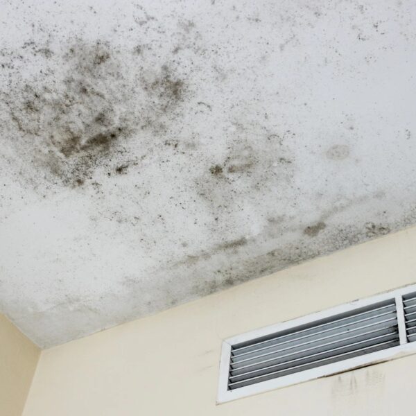 Unsichtbarer Schimmel in der Wohnung – Symptome oft unterschätzt und gesundheitlich riskant